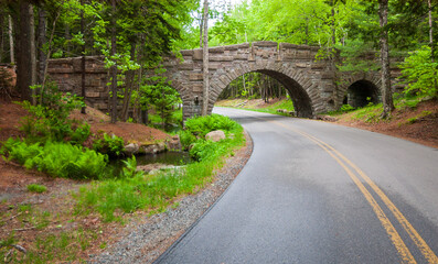 Fototapeta na wymiar Carriage Roads and Bridge at Acadia National Park