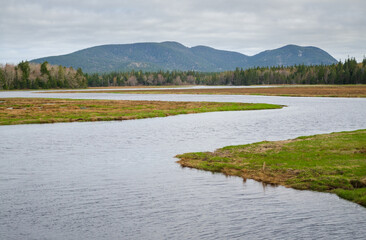 Great Meadow Wetland at Acadia National Park