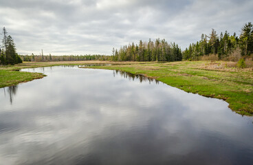 Great Meadow Wetland at Acadia National Park