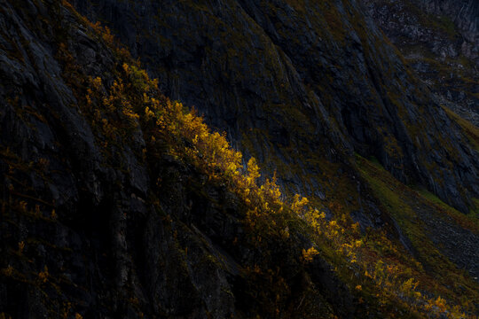 A spot of sunlight on the slope of a mountain filled with trees in lovely autumnal colors, Troms og Finnmark, Norway