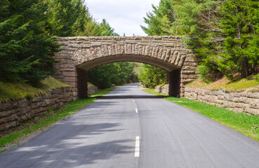 Carriage Roads and Bridge at Acadia National Park