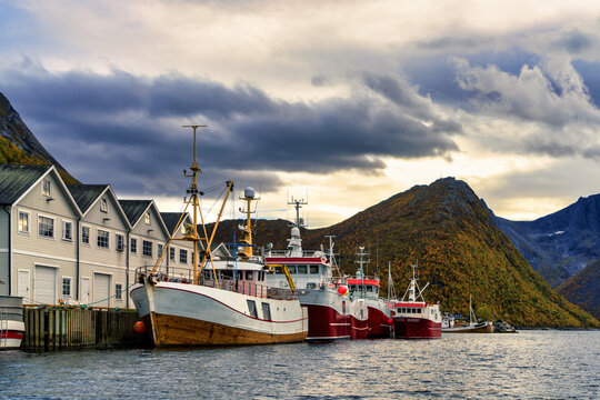 The small harbor of Husøy lies at the end of Øyfjorden and is surrounded by high mountains covered in autumn colors, Troms og Finnmark, Norway