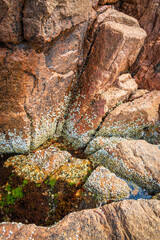 Bass Harbor Head Light at Acadia National Park