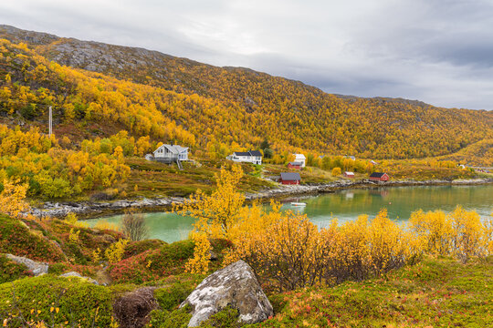 Jekthamna is a small but beautiful inlet surrounded by trees in autumnal colors in Senja island, Troms og Finnmark, Norway