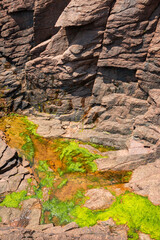 Rocky Cliff at Acadia National Park