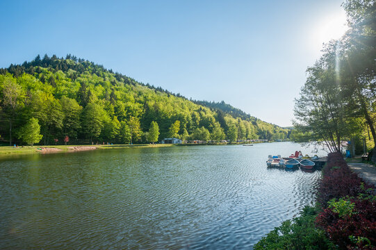 Landschaft am Clausensee bei Clausen. Region Pfalz im Bundesland Rheinland-Pfalz in Deutschland