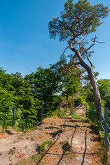 Aussichtsplateau der Burgruine Guttenberg bei Oberotterbach. Region Pfalz Bundesland Rheinland-Pfalz in Deutschland