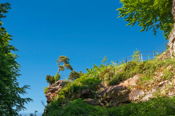 Aufblick zum Plateau der  Burgruine Guttenberg bei Oberotterbach. Region Pfalz im Bundesland Rheinland-Pfalz in Deutschland