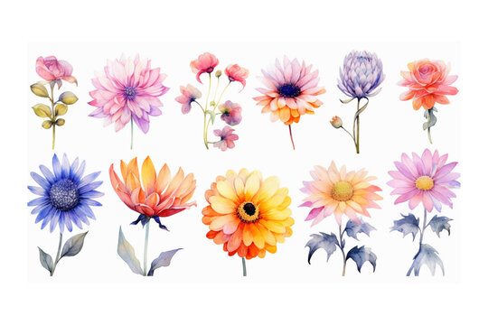 Watercolor Flowers Set. Botanical collection of wild and garden plants. Generative AI