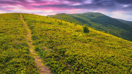 trail through grassy meadow. carpathian mountain landscape at sunset beneath a colorful sky