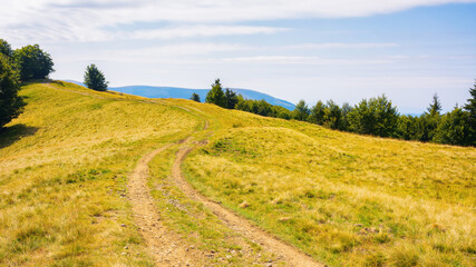 rural road through green meadows on forested rolling hills. carpathian countryside in summer. mountain range in the distance beneath a blue sky with fluffy clouds