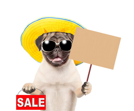 Pug puppy wearing sunglasses and summer hat showing signboard with labeled "sale" and empty placard. isolated on white background