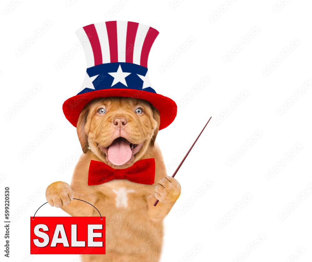 Poster happy mastiff puppy wearing like uncle sam points away on empty space and shows signboard with label