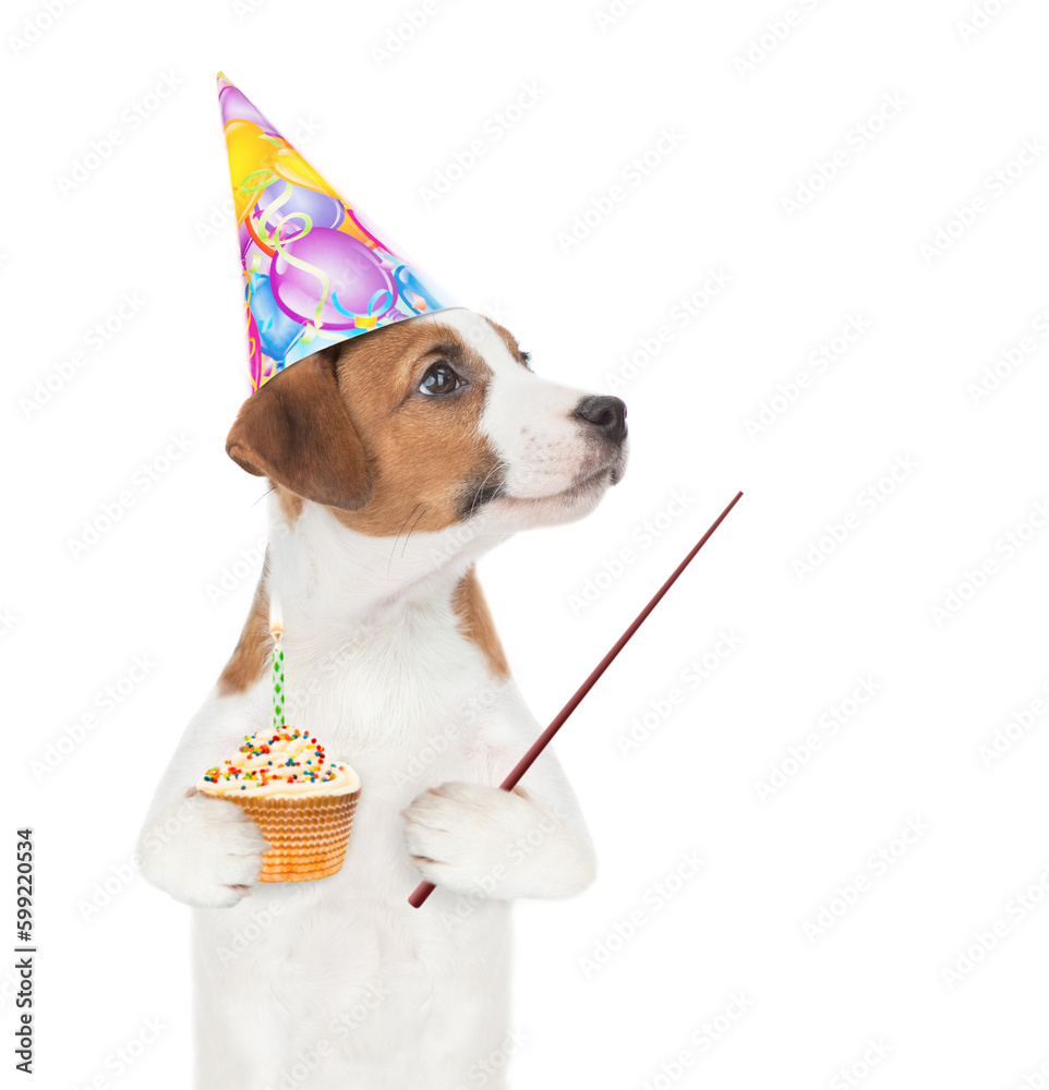 Poster jack russell terrier puppy wearing a party cap holds cupcake with birning candle and points away on 