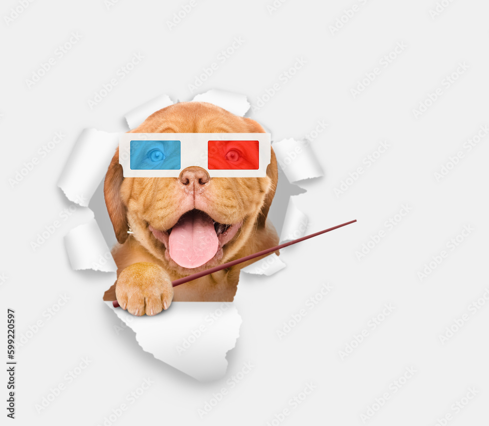 Poster happy puppy wearing 3d glasses looking through the hole in white paper and pointing away on empty sp