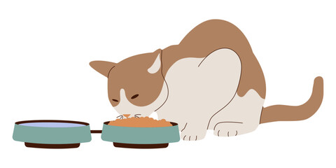 A cute cat with brown spots eats from food and drink bowls. Flat design style. Vector illustration.