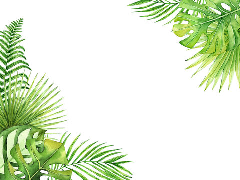 Tropical flowers and leaves frame. Watercolor exotic floral border illustration. Botanical palm leaves, monstera. Template for packaging, greeting cards, wedding invitation