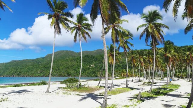 Scenic view of a wild tropical white sand beach. Clear sea and palm trees against a mountainous peninsula and blue sky. Bright tropical landscape of exotic nature. Palm grove on the Caribbean coast.