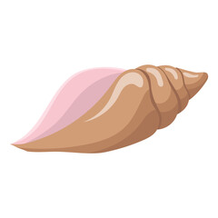 Seashell. vector illustration isolated on a white background