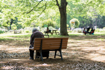 公園のベンチにひとりで座る男性高齢者 - obrazy, fototapety, plakaty