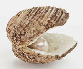 Realistic 3D Render of Pearl in Shell