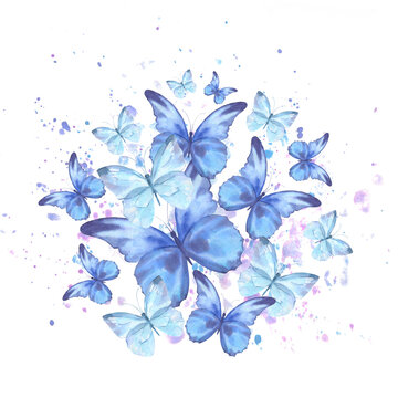 Watercolor illustration with delicate butterflies are blue, flying in the circle with splash. For the design and decoration of frames, banners, postcards, certificate.