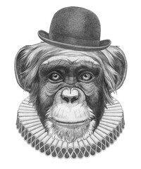 Portrat of Monkey with Elizabethan Collar and Bowler Hat. Hand-drawn illustration