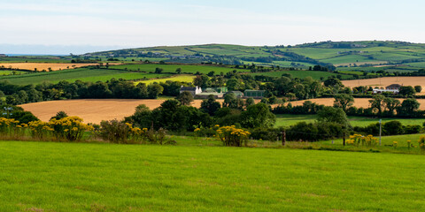 Green farm fields and hills in the evening in Ireland. Irish rural landscape, agricultural land. Green grass field, trees