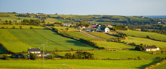 Green farm fields in the south of Ireland on a summer evening. Agricultural Irish landscape. Pastures for livestock, house on green field.