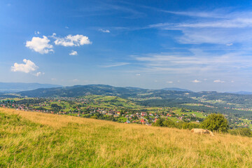 A view from the top of Ochodzita in Koniaków towards the north-west to Istebna, Koniaków and the peaks of the Silesian Beskids (Poland) on a sunny summer day.