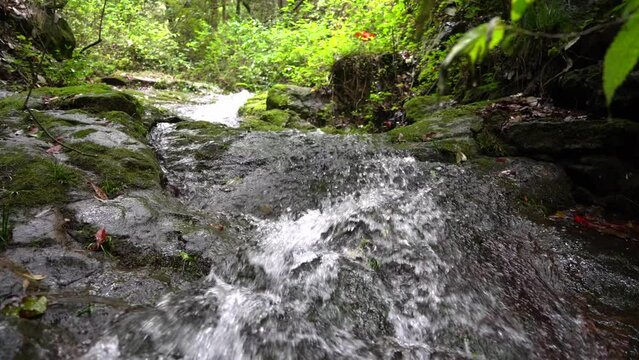 The clear stream in the valley flows down from mossy stones