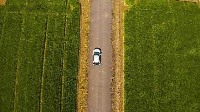 Car Driving Through Rice Fields, Top Down View, Countryside of Japan