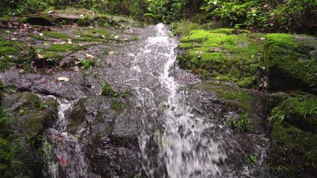 The clear stream in the valley flows down from mossy stones