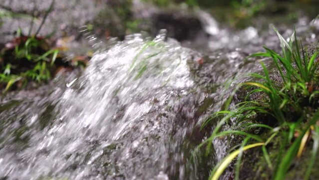 The clear stream in the valley flows down from mossy stones