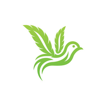 Flying bird cannabis leaf creative logo design
