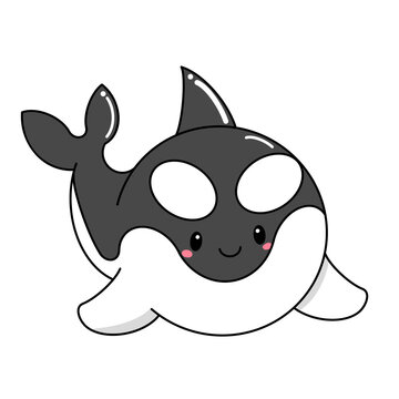Animal sea cartoon character cute illustration