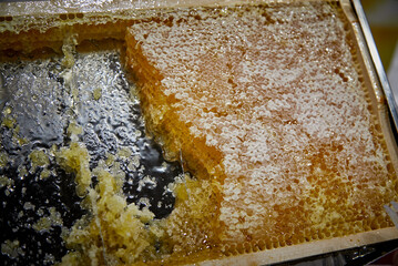 miel, cera, azúcar, sabroso, dulce, panal, abeja, presentación, desayuno, rico, macro, zoom