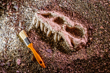 bones of a dinosaur skull close-up in the sand at an archaeological dig © de Art