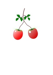 cherry tomatoes isolated on white background