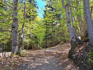 Parque Natural Posets Maladeta, Huesca, España