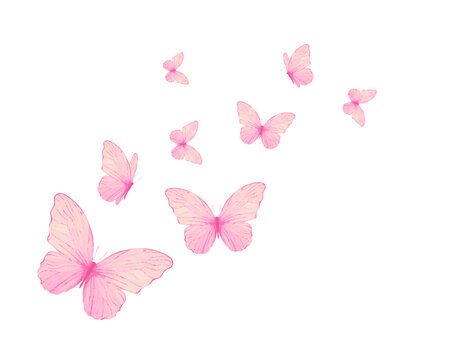 Pink butterfly hand drawn design