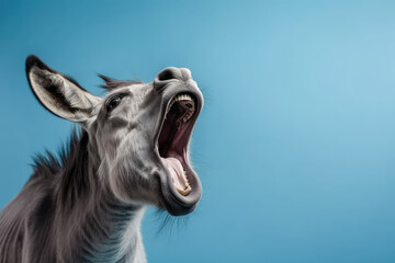 The Screaming Donkey. Grey Donkey Screaming on a Light Blue Background. Expressive Animal AI Generative.
