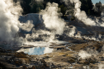 Fototapeta na wymiar Steam Rises Over Bumpass Hell Volcanic Area
