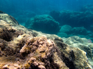 Vista subacquea del fondale di Fondaco del Prete