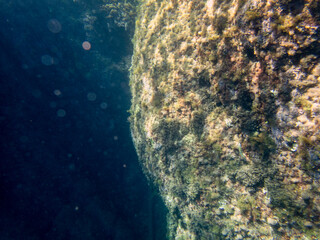 Vista subacquea delle rocce nel mare, Sfondo subacqueo