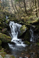 Fototapeta premium 깊은 산속 이끼 낀 바위 사이로 흐르는 물