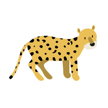 Cartoon leopard on a white background.Flat cartoon illustration for kids. EPS