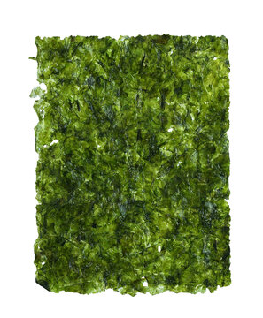 Sheet of dried seaweed or Dry japanese organic seaweed isolated. Png transparency
