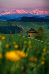 Alpenglühen of Eiger Mönch and Jungfrau seen from the hills of Emmental during spring