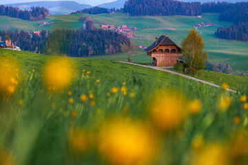 lonely, tiny farm house in Emmental with views of the Bernese Alps during spring